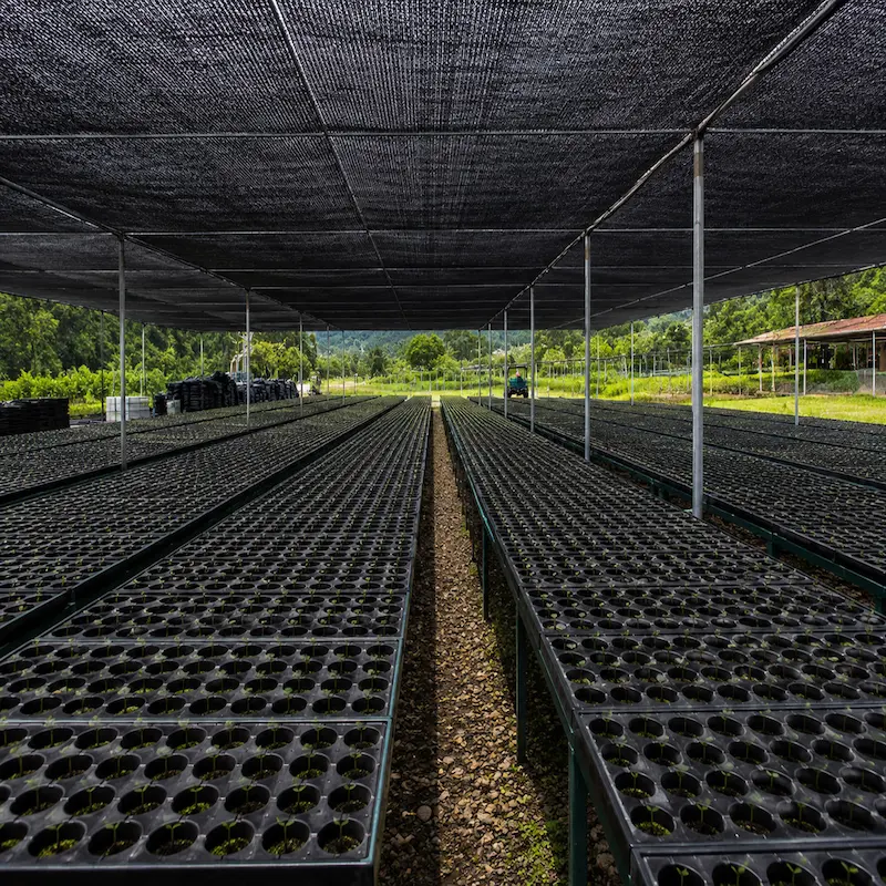 Malla Raschell 90% Máxima Protección en Perú - malla sombra Raschell HDPE con protección UV